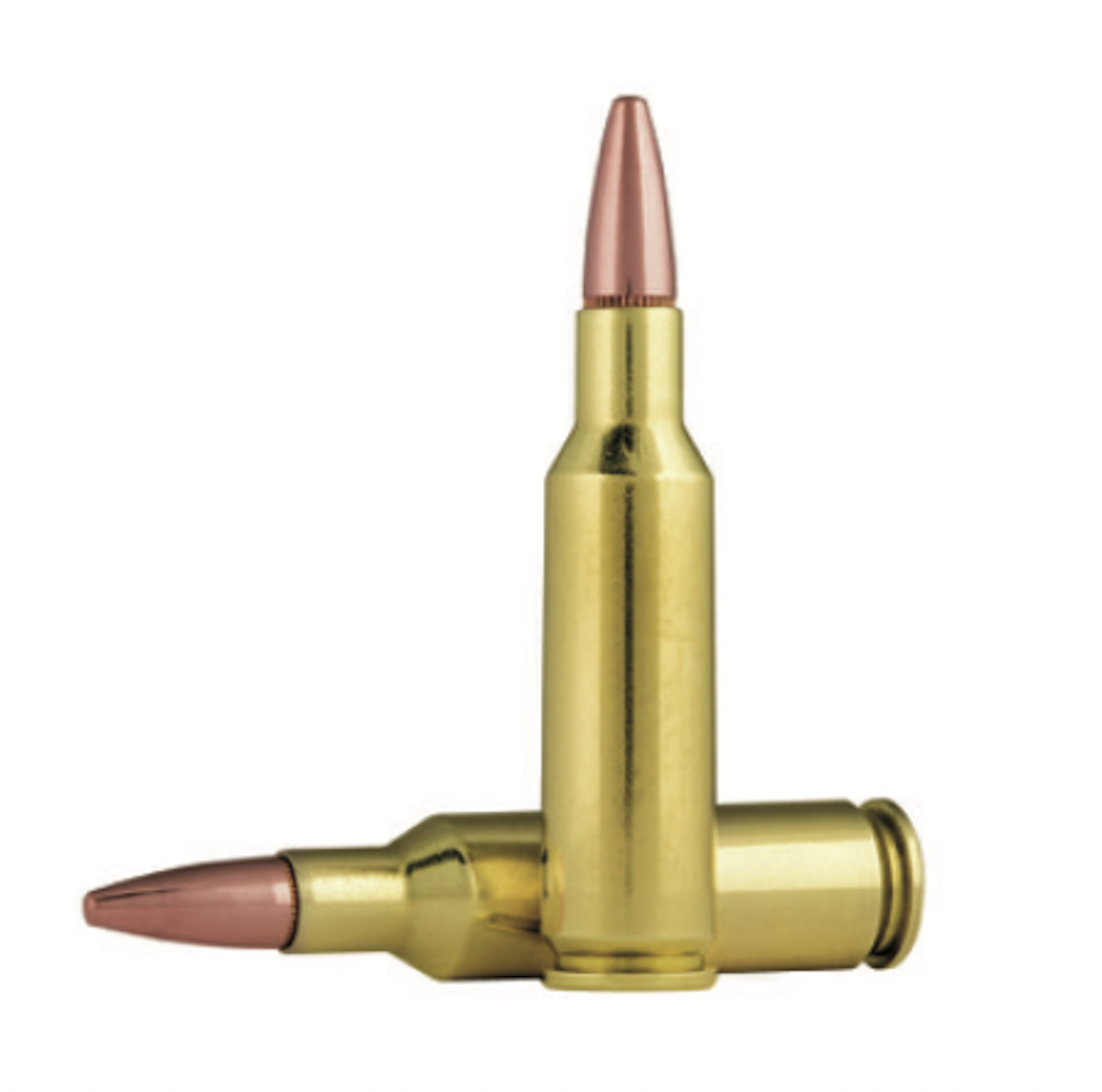 The 224 Valkyrie cartridge was designed for long-range shooting, whether it be on steel or paper targets, varmints, or small- to medium-sized big game.
