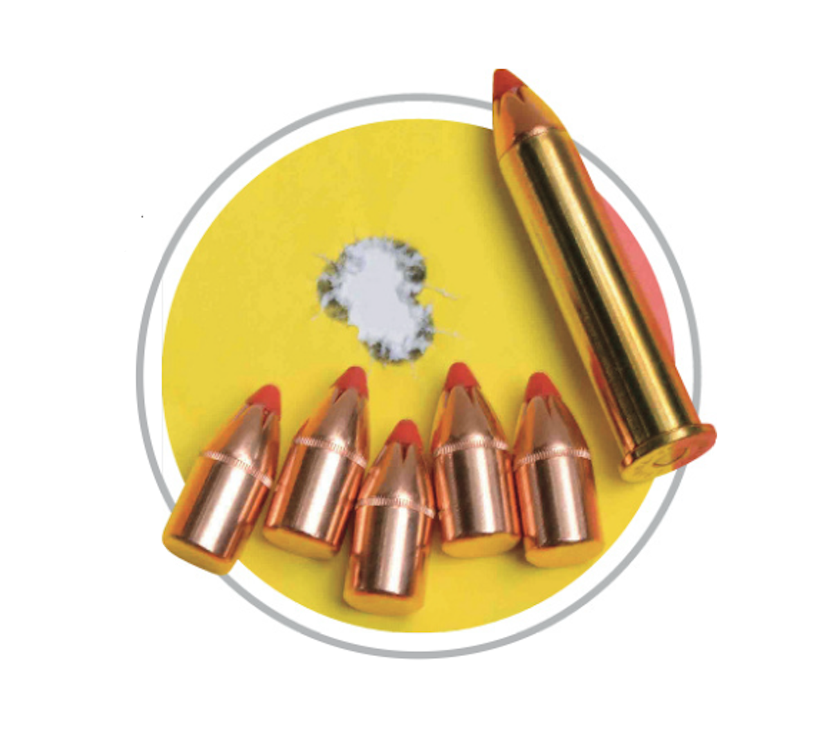 45-70 accuracy target with Hornady 325-grain FTX