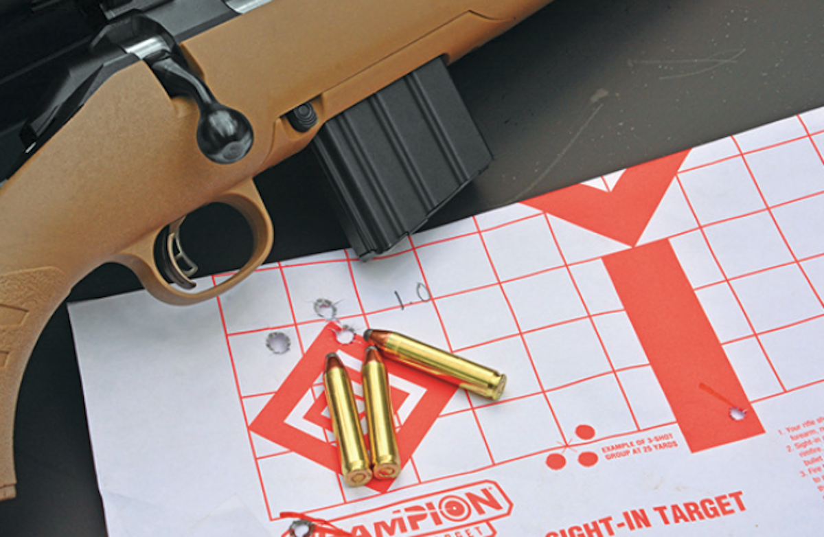 Ruger American rifle and 350 Legend handloads