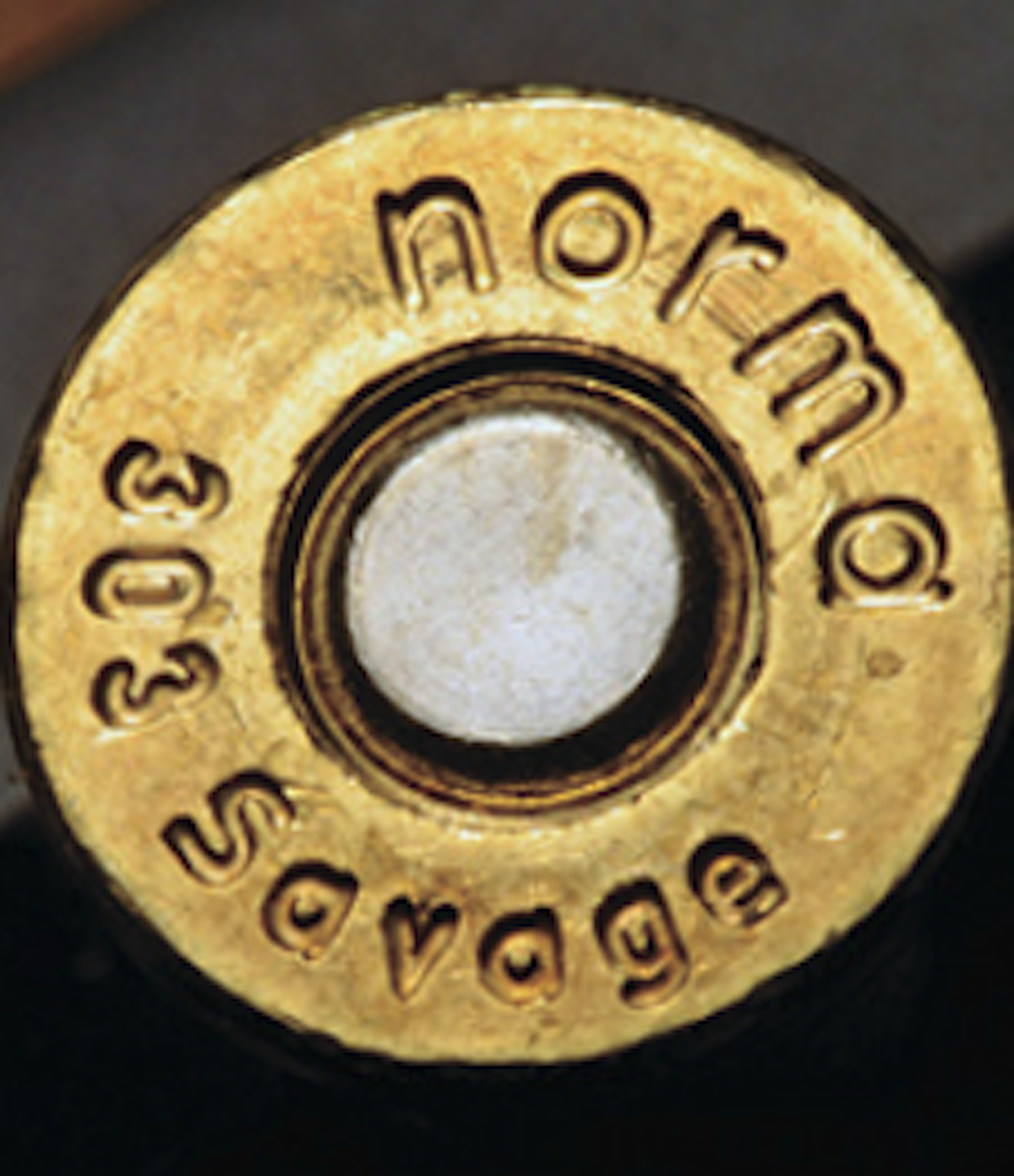 Norma 303 Savage brass